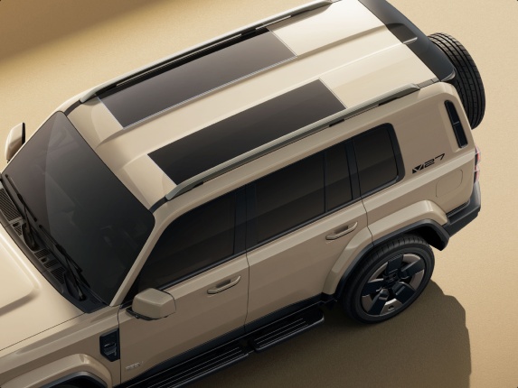 Bold from Every Angle